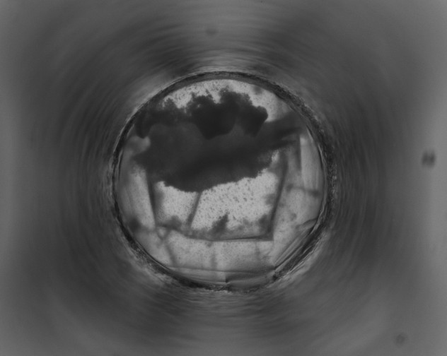 X0000100751121200807171405
