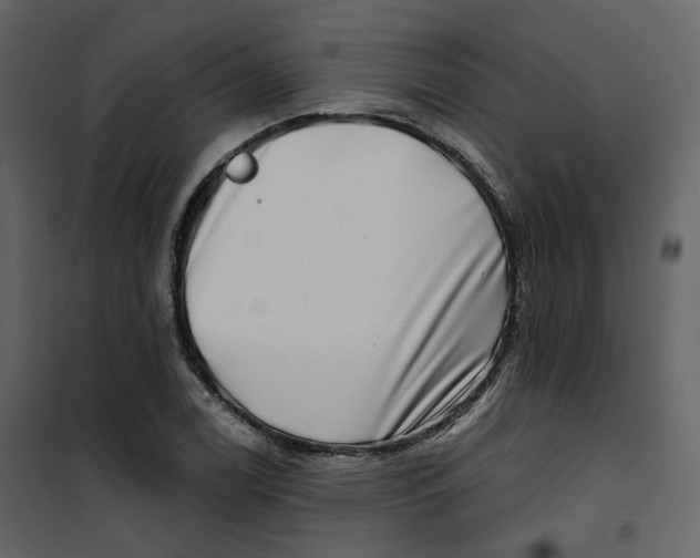 X0000100751122200807171405