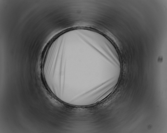X0000100751124200807171405