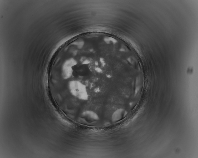 X0000100751125200807171405