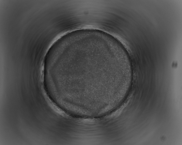 X0000100751126200807171405