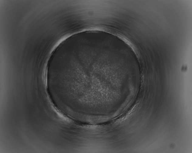 X0000100751127200807171405
