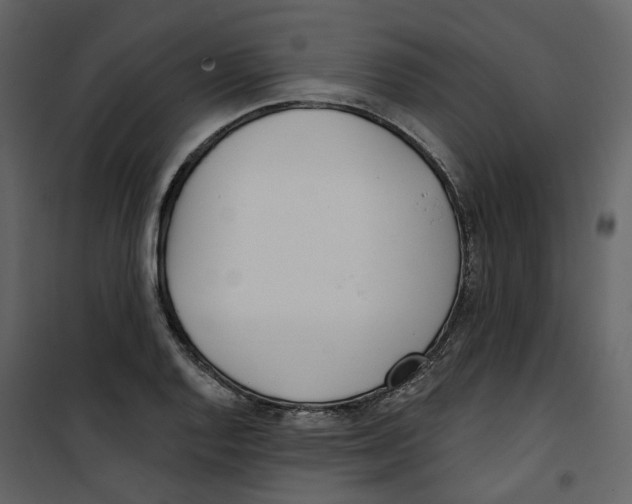 X0000100751128200807171405