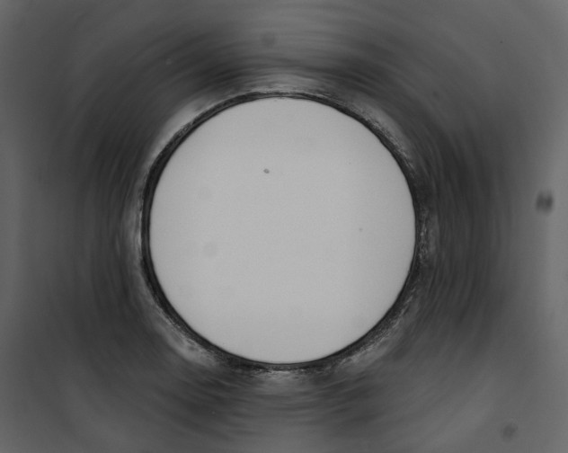 X0000100751130200807171405