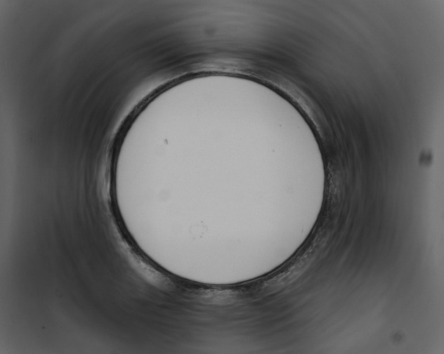 X0000100751131200807171405