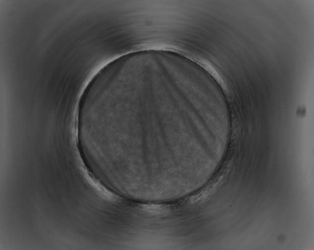 X0000100751132200807171405