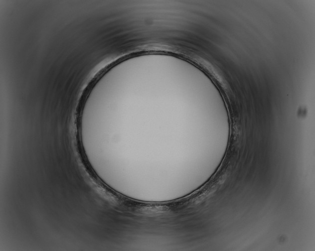 X0000100751133200807171405
