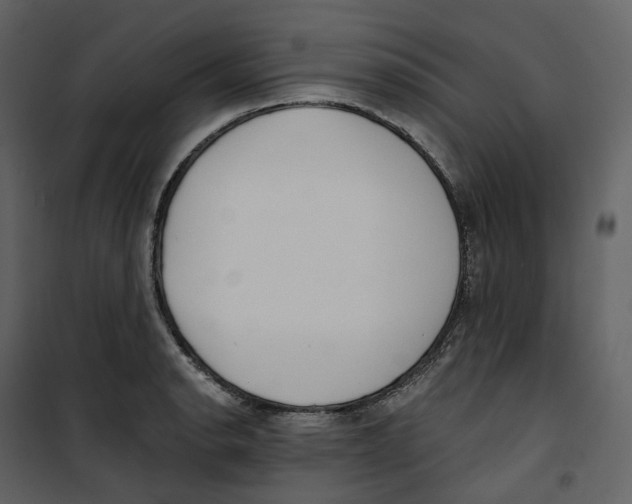 X0000100751134200807171405