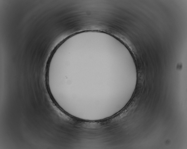 X0000100751135200807171405