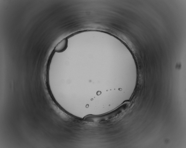 X0000100751136200807171405