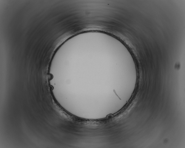 X0000100751137200807171405