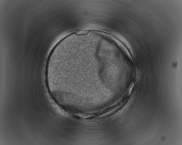 X0000100751138200807171405