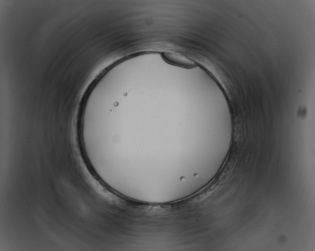 X0000100751139200807171405