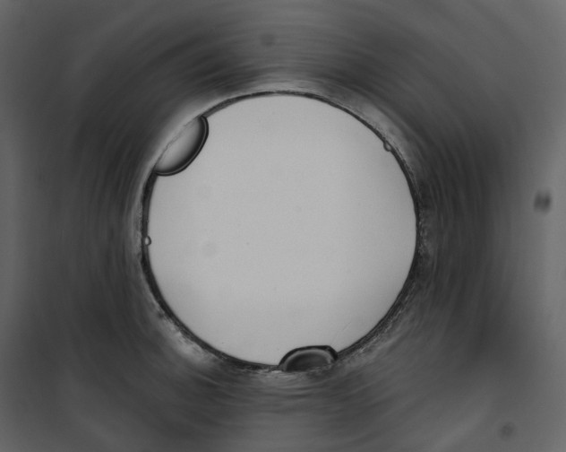 X0000100751140200807171405