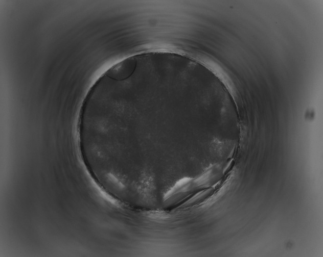 X0000100751141200807171405