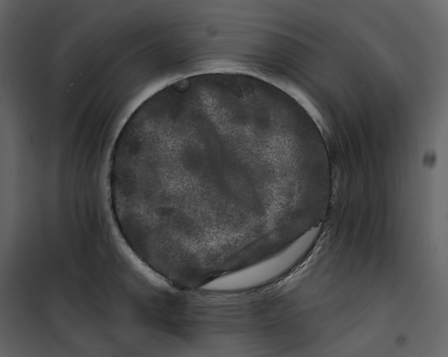X0000100751142200807171405