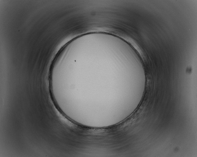 X0000100751143200807171405