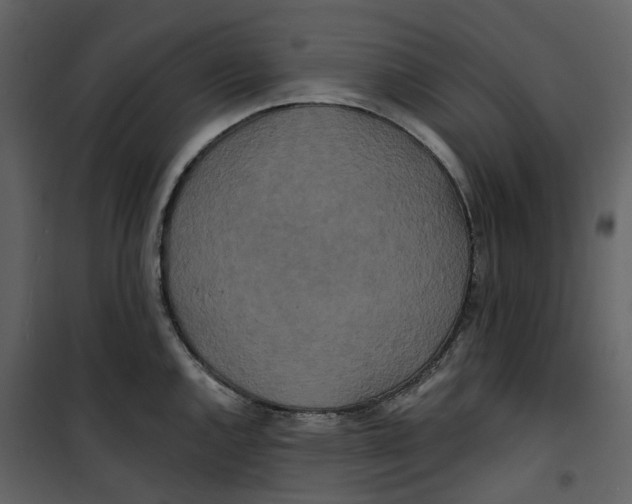 X0000100751144200807171405