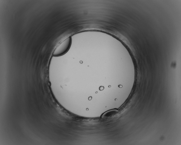 X0000100751145200807171405