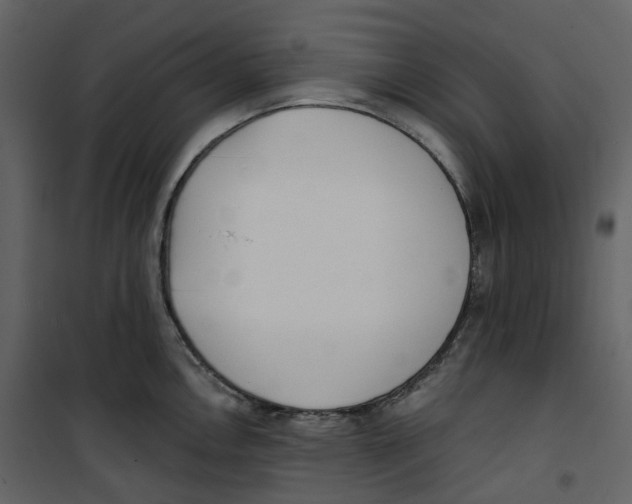 X0000100751146200807171405