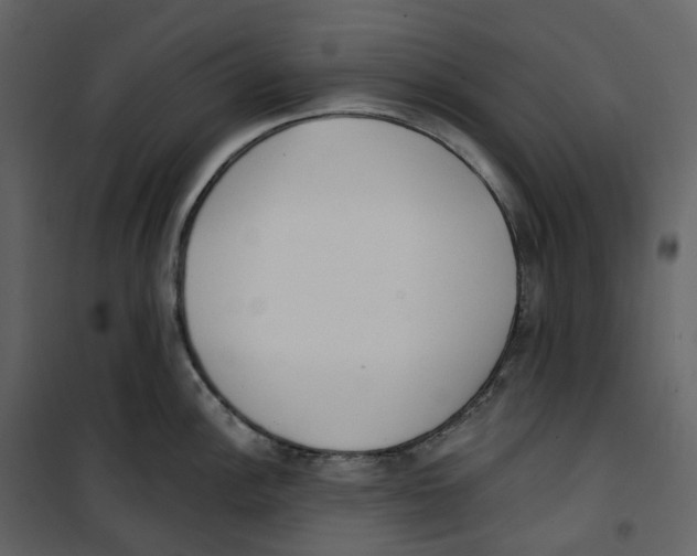 X0000100751148200807171405