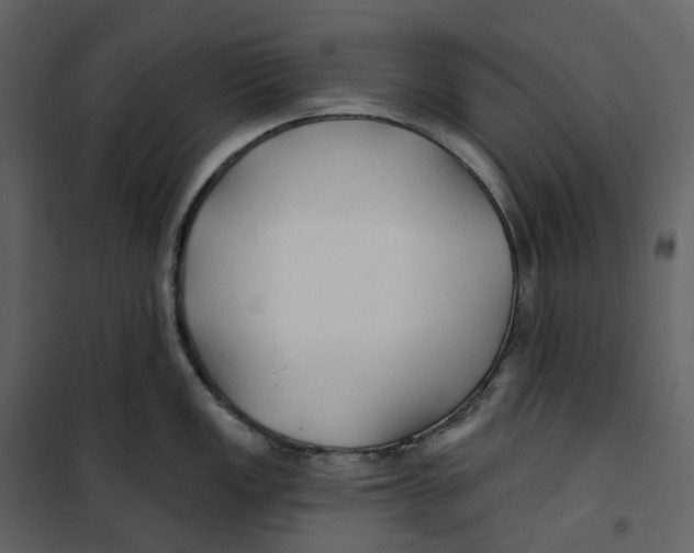 X0000100751149200807171405