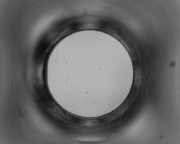 X0000100751150200807171405