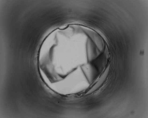 X0000100751151200807171405