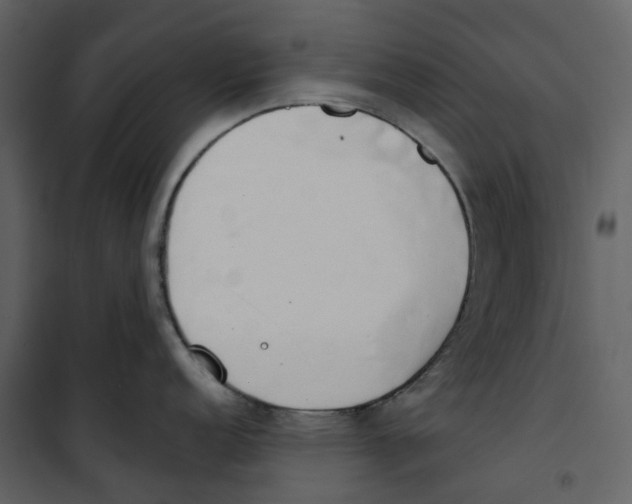X0000100751152200807171405