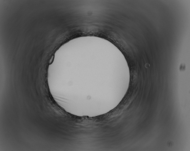 X0000100751153200807171404