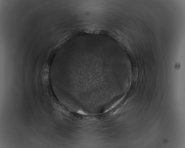 X0000100751154200807171404