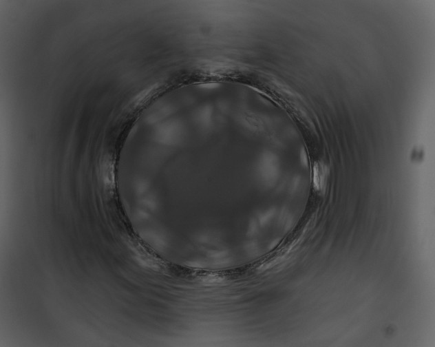 X0000100751155200807171404