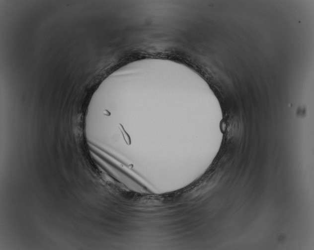 X0000100751156200807171404