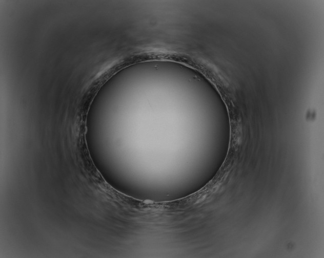 X0000100751157200807171404
