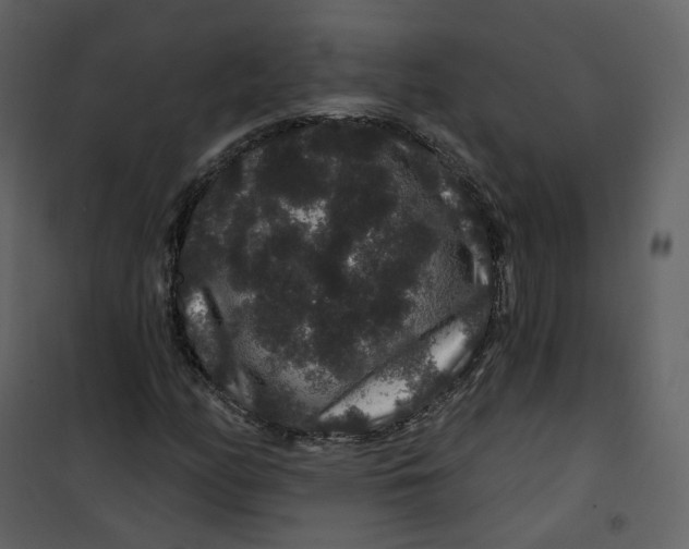 X0000100751158200807171404