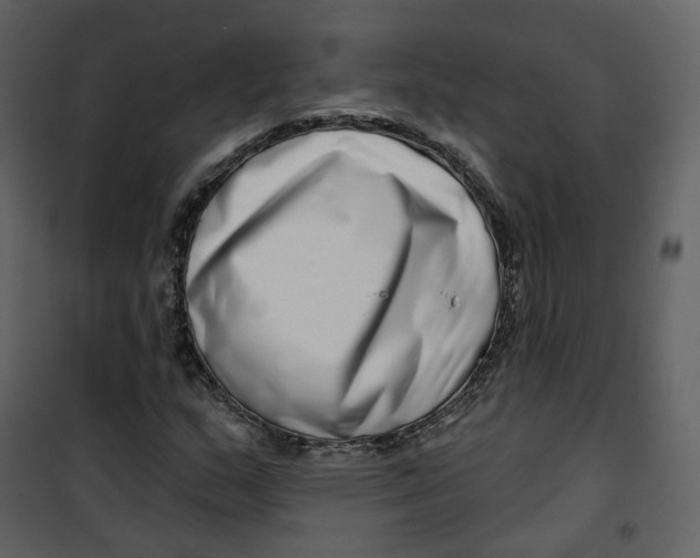 X0000100751159200807171404