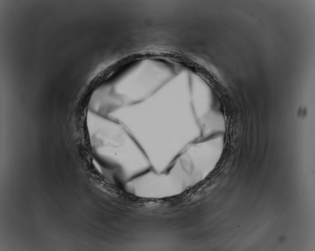 X0000100751160200807171404
