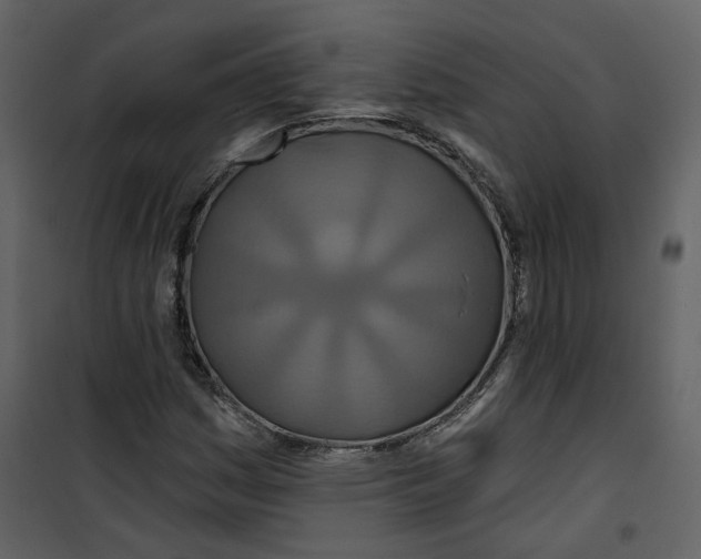 X0000100751161200807171404