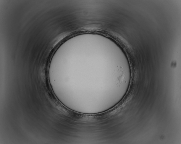 X0000100751162200807171404