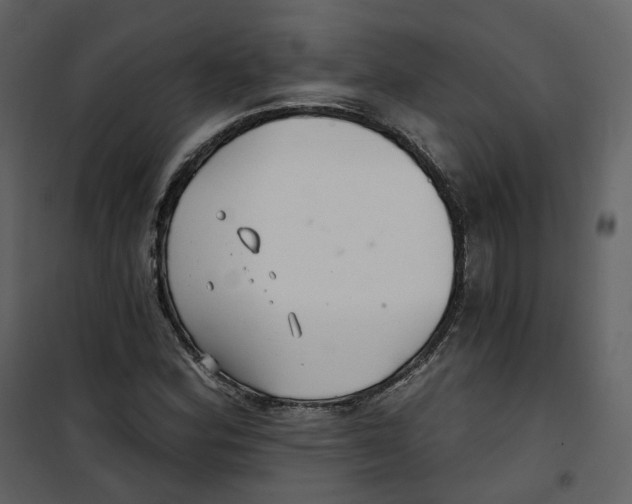 X0000100751164200807171404