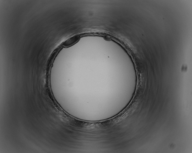 X0000100751165200807171404