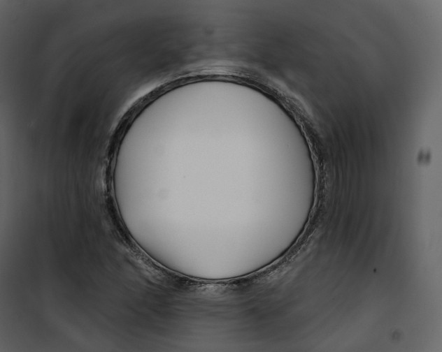 X0000100751166200807171404