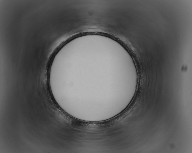 X0000100751167200807171404