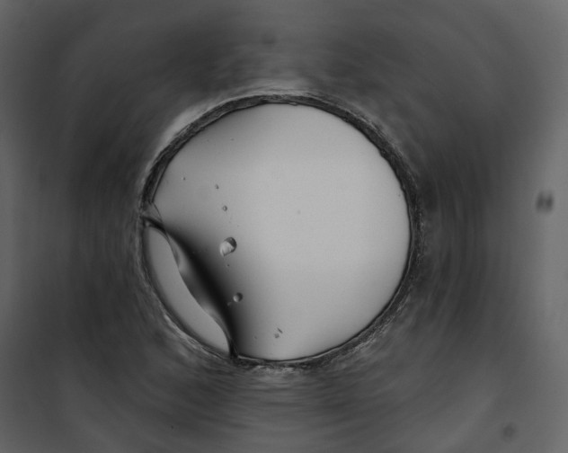 X0000100751168200807171404