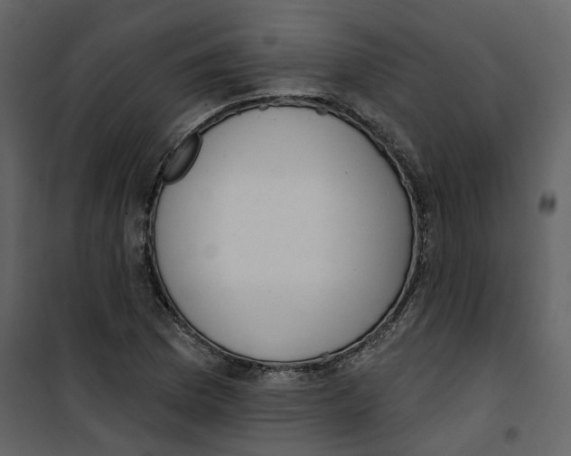 X0000100751169200807171404
