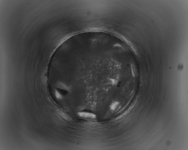 X0000100751170200807171404
