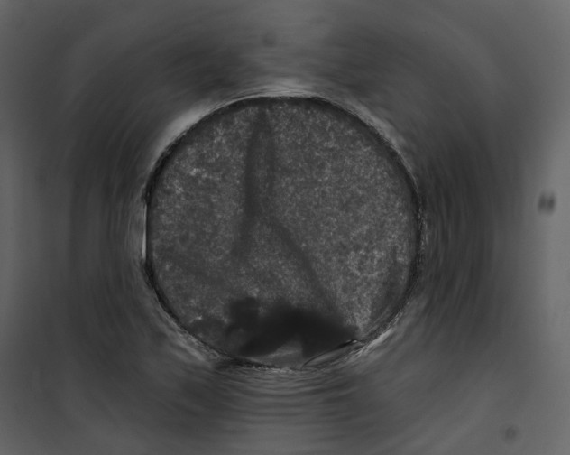 X0000100751171200807171404