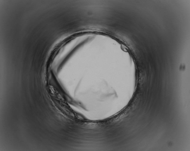 X0000100751172200807171404
