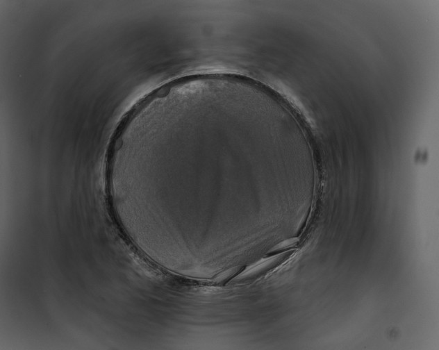 X0000100751173200807171404