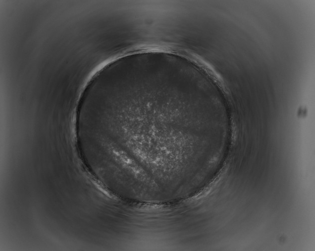 X0000100751174200807171404